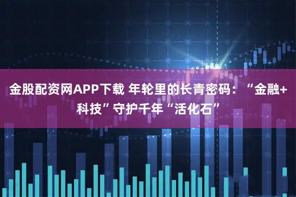 金股配资网APP下载 年轮里的长青密码：“金融+科技”守护千年“活化石”