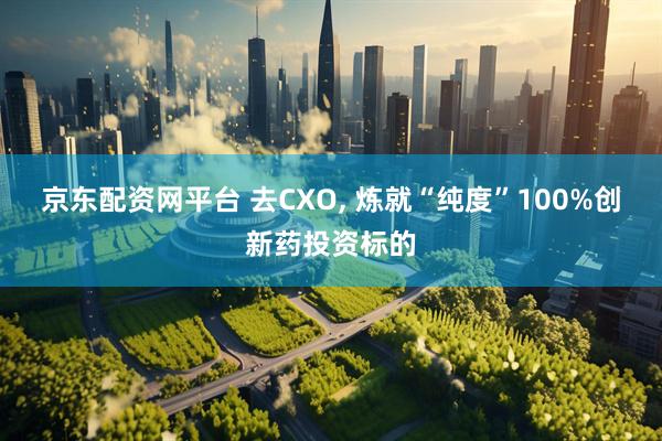 京东配资网平台 去CXO, 炼就“纯度”100%创新药投资标的