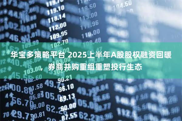 华宝多策略平台 2025上半年A股股权融资回暖，券商并购重组重塑投行生态
