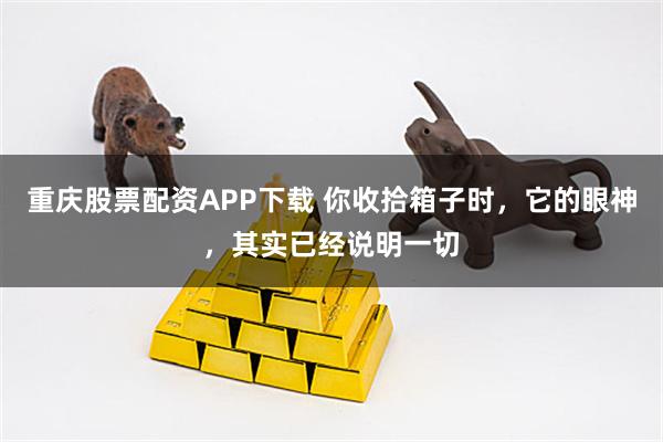 重庆股票配资APP下载 你收拾箱子时，它的眼神，其实已经说明一切