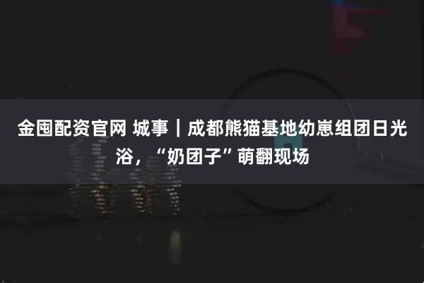金囤配资官网 城事｜成都熊猫基地幼崽组团日光浴，“奶团子”萌翻现场